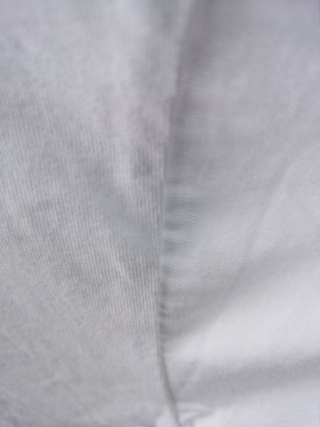 新款时尚白色小T恤小清新纯棉休闲女生短袖产品图