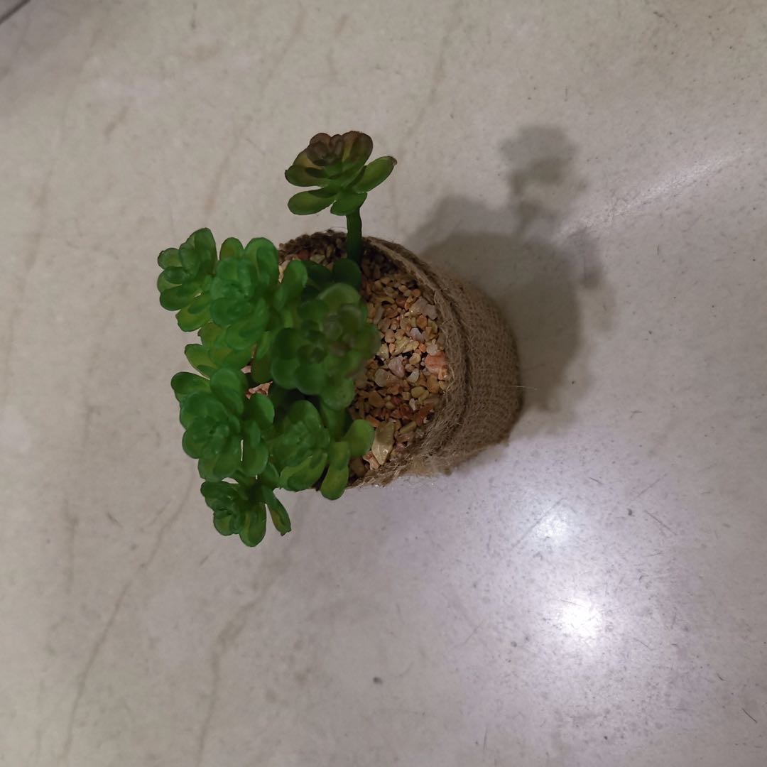 仿真塑料麻布仿真多肉家居摄影摆件装饰288装产品图