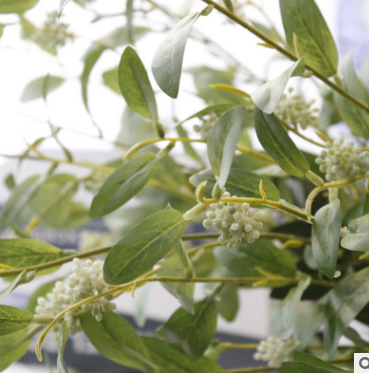 5-head Holly fruit with leaves High-end illustration material simulation flower JX001 5-head Holly fruit leaves details Picture