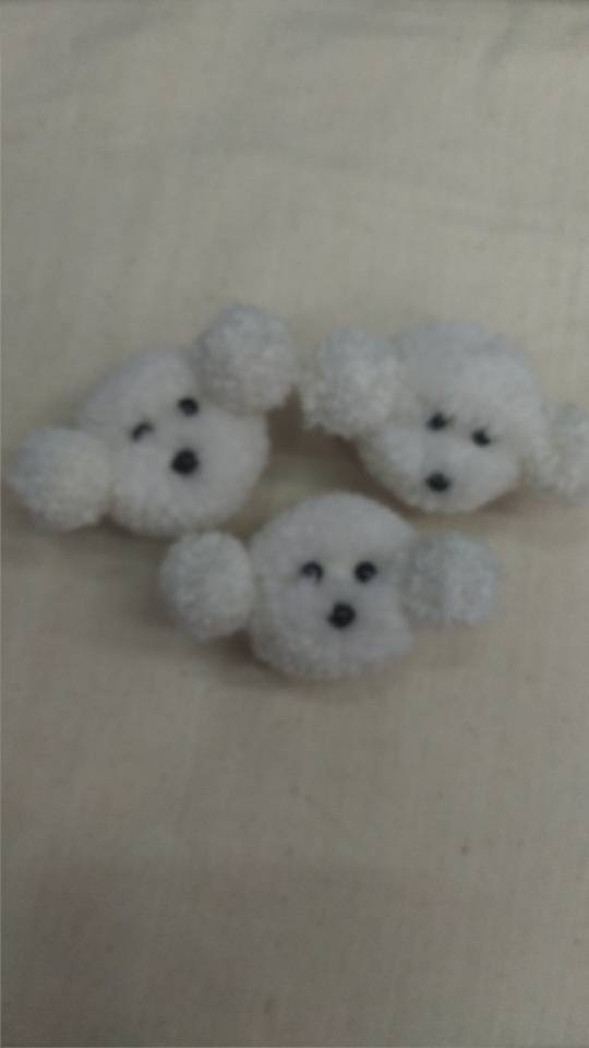 Dog Animal Hairball White Rice Brown details Picture
