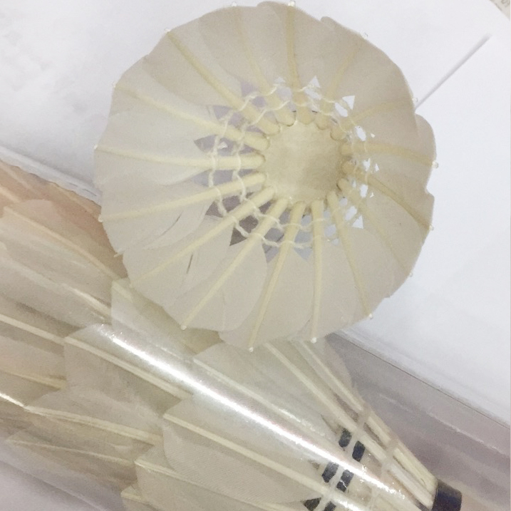 Genuine 6 Pieces Of Badminton Goose Feather Stable And Resistant To Play Royal Indoor And Outdoor Training Matches With The Ball Is Not Easy To Break details Picture