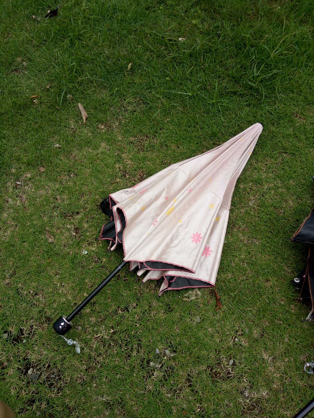 金欧二折小洋伞晴雨伞防紫外线伞晴雨伞色胶防晒伞产品图