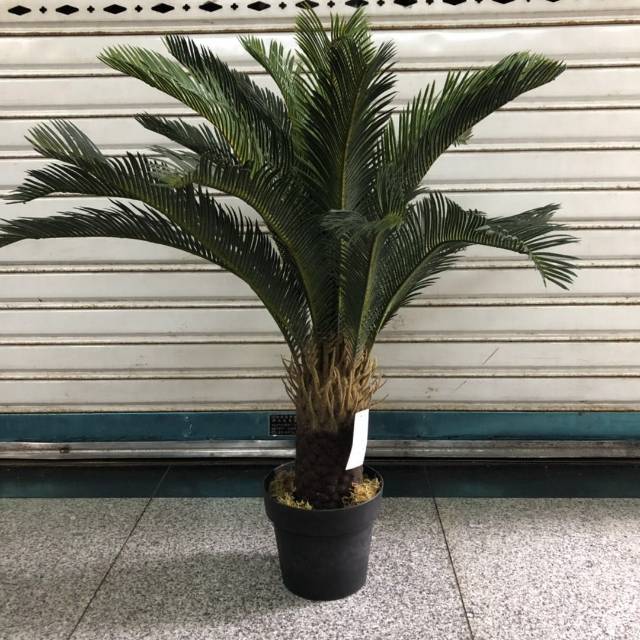 Iron leaf fern green simulation plant bundle plastic wall match thumbnail