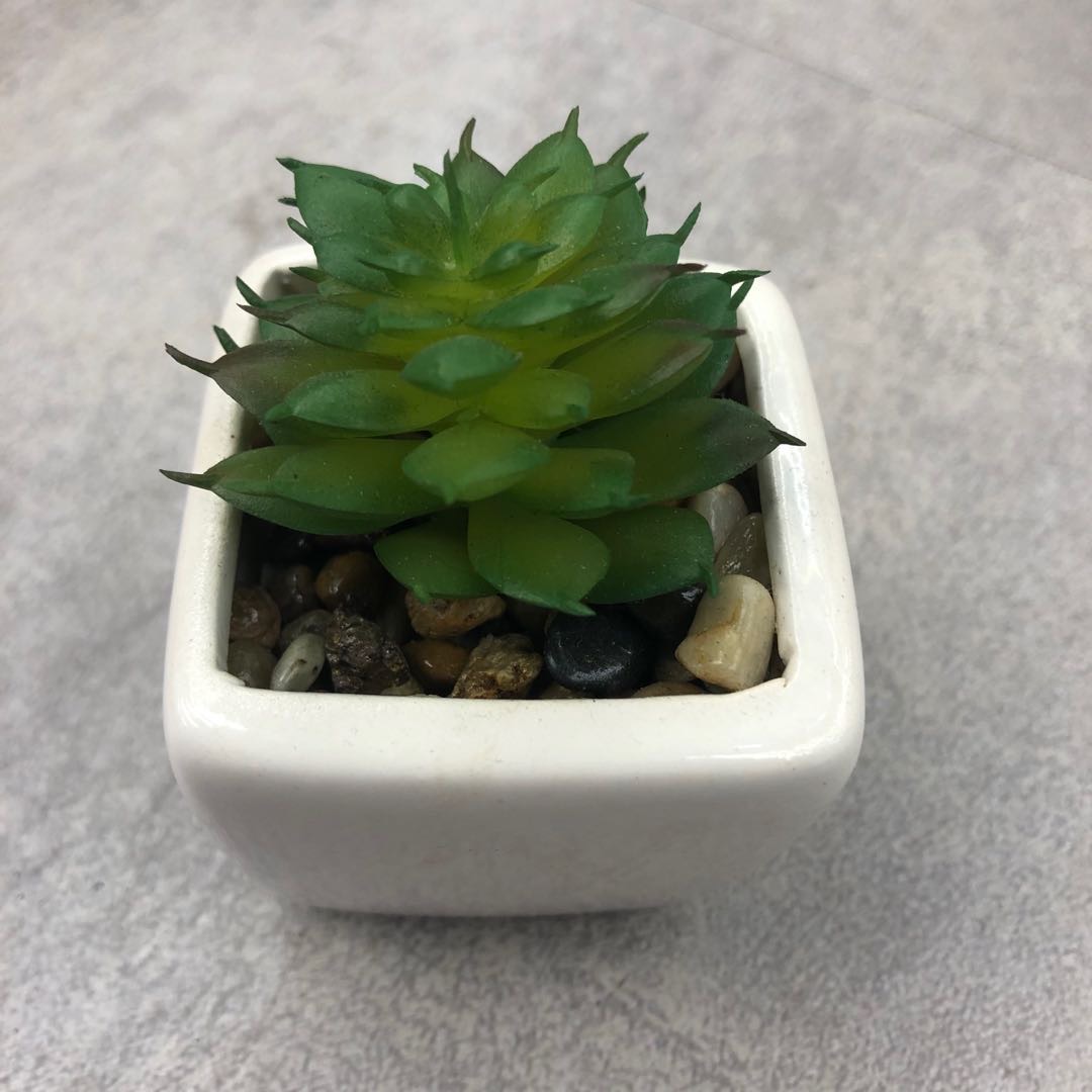 绿色雪莲仿真盆景仿真花家居装饰摆件工艺品