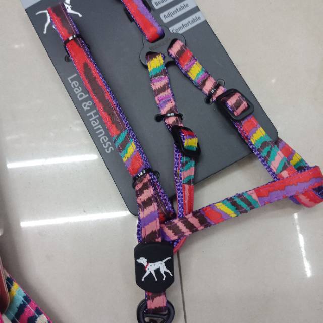 宠物小猫小狗牵引绳编织细节图