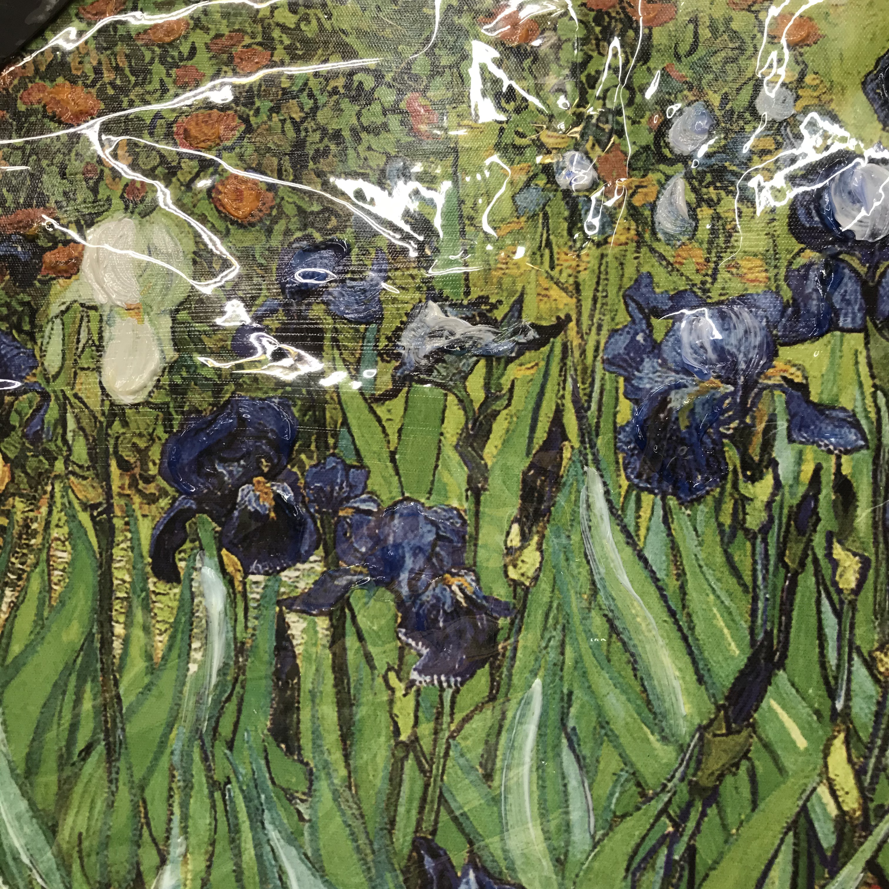 Van Gogh's rose and Iris oil painting, reprinted by Van Gogh, canvas, frameless painting, Starry Sky, starry night, Harvest Specification image