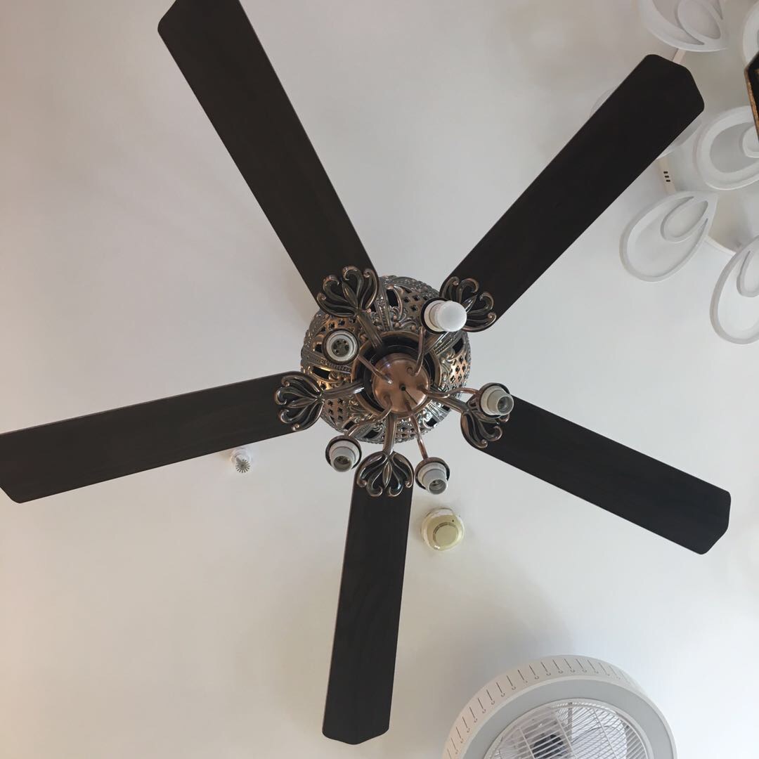 欧式简约遥控可调档餐厅卧室客厅家用LED吊扇灯