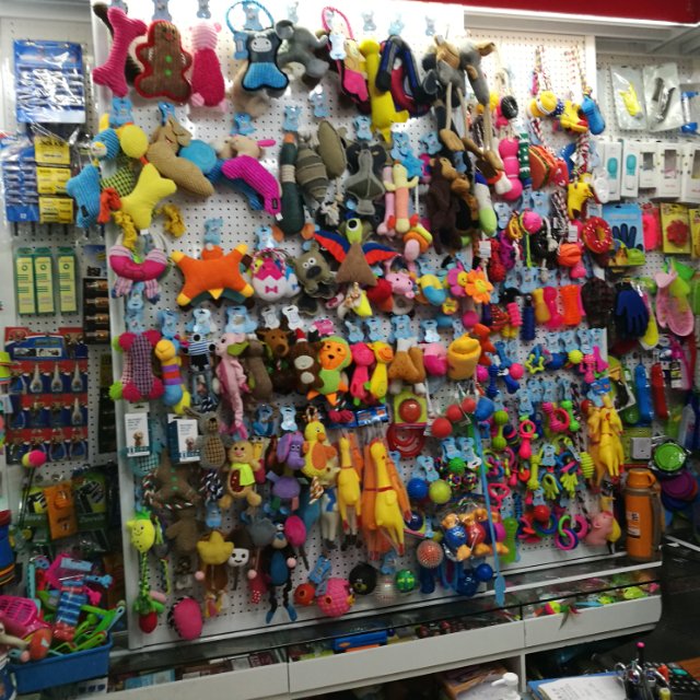 Xinxing Pet Products Co., LTD describe pic - 2