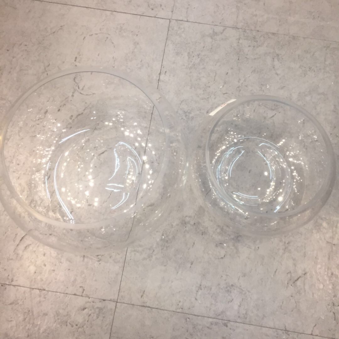 Transparent glass culture vase water lotus living room home decoration pieces