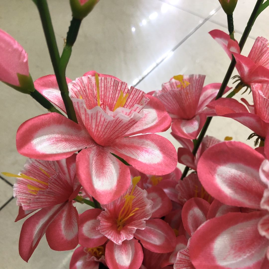 Simulation Of Kachilan Multi-Color Big Pot Garden Small Fresh Decoration Home Photography Accessories Manufacturers Direct Sales Specification drawing