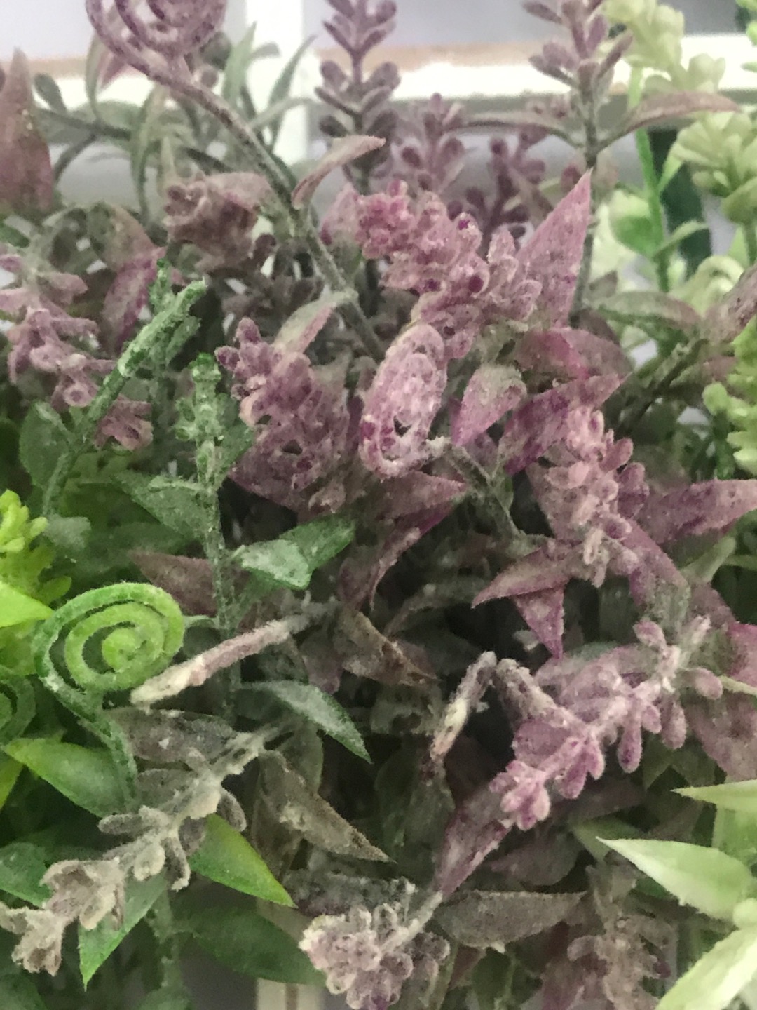 仿真植物/仿真花/仿真园艺细节图