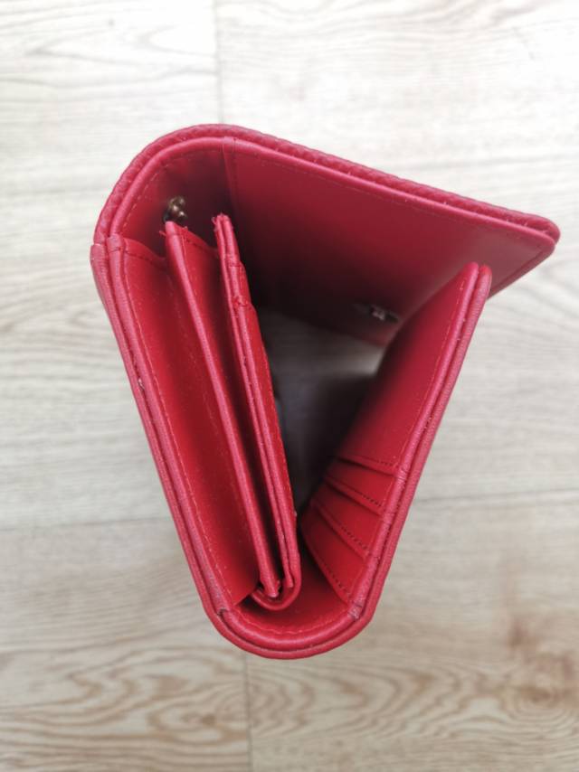 internal structure display