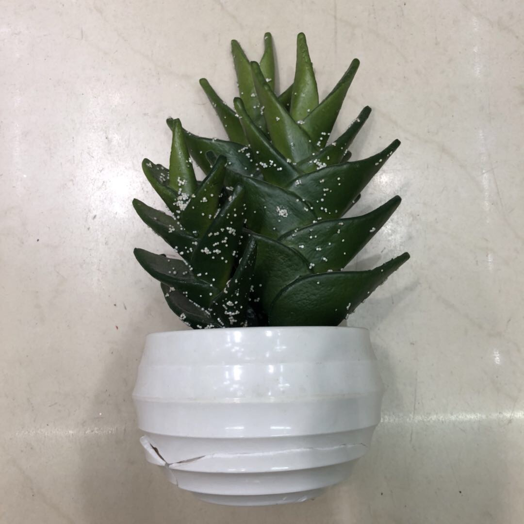 Artificial plant bonsai, potted cacti, green plants, succulents, artificial trees, plants with POTS, decorative gifts, ornaments, artificial flowers details Picture