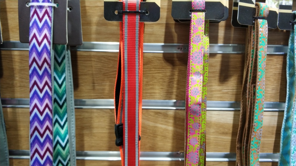 Striped and colorful pet leash details Picture