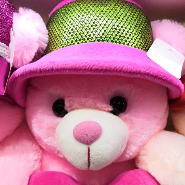 厂家直销爱心小熊戴帽子玩具布娃娃抱抱熊生日礼物细节图