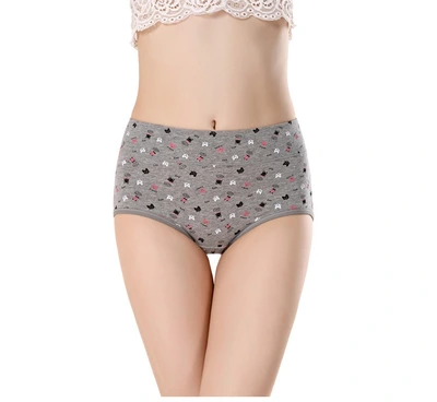 95 Cotton Underwear Women's Mid-Waist Cotton Crotch Cute Printed Cotton Women's Briefs