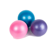 普拉提瑜伽球麦管球25cm平衡健身球体操球儿童孕妇pvc瑜伽小球