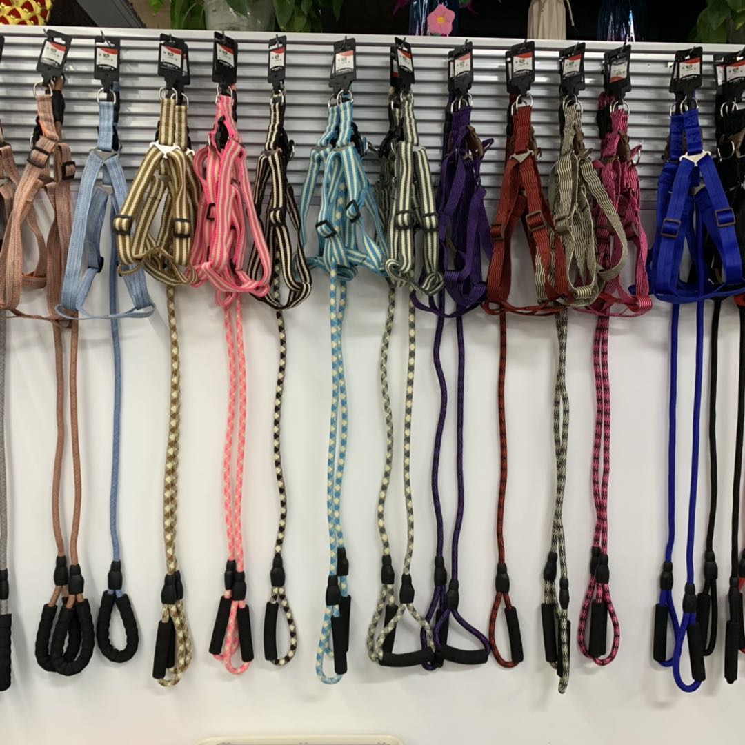 Hwanshin Pet describe pic - 3