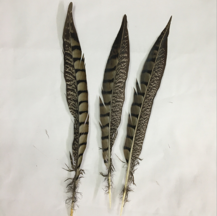 彩色郁金香毛绒配件/缝纫机配件/高弹毛球5厘米/鸡毛羽毛/眼睛细节图