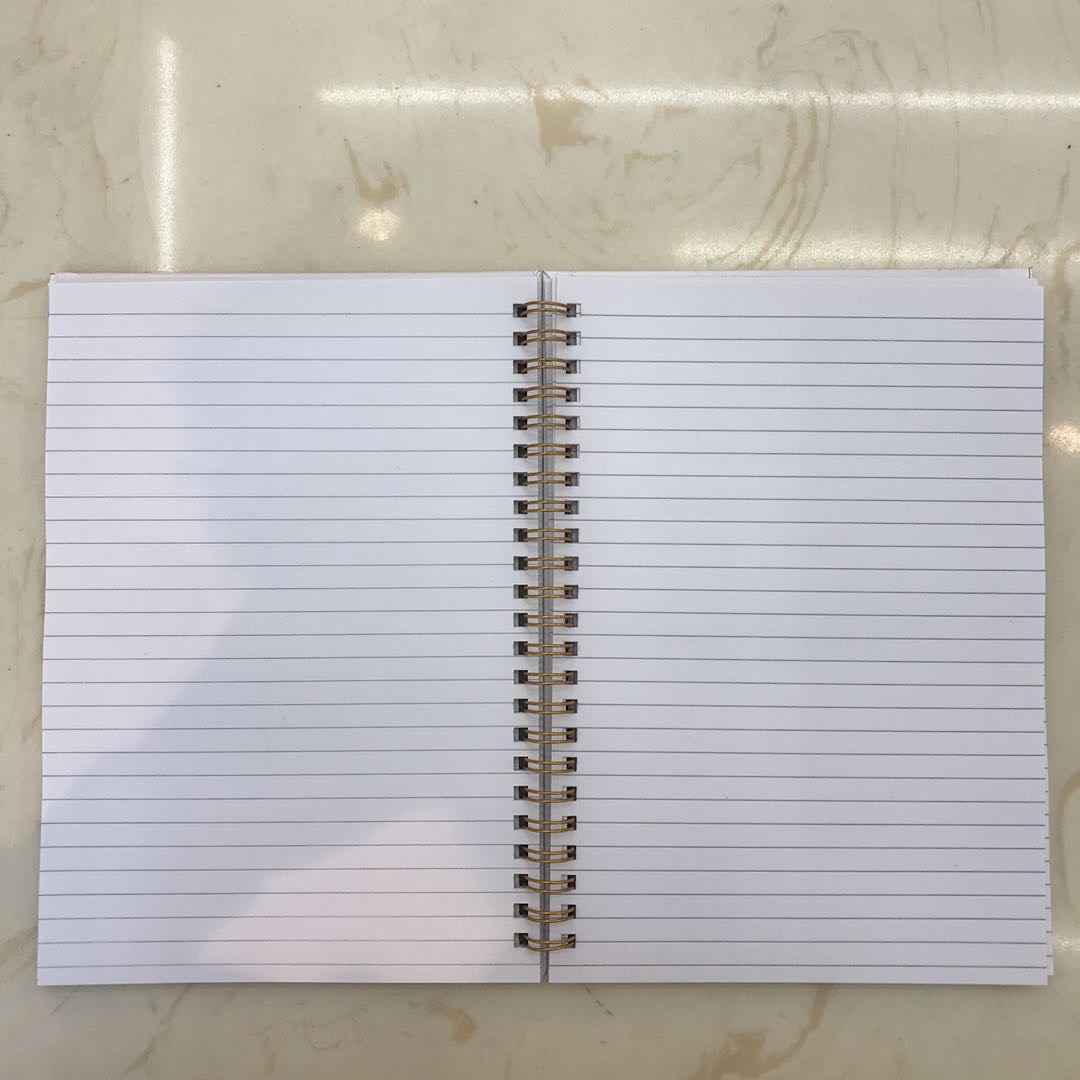 线圈本笔记本子大学生小清新侧翻B5螺旋加厚文具女生款卡通可爱创意复古文艺好看的简约超萌少女心精致产品图