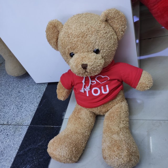 厂家直销穿衣棕色熊抱抱熊泰迪熊公仔毛绒玩具熊玩偶布娃娃