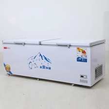 418升双温卧式冰箱冷柜大冰柜冷藏商用大容量小冰柜冷冻柜家用