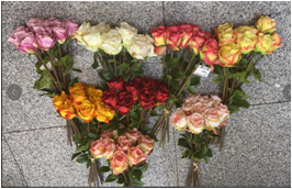 New rose notebook from the manufacturer Specification image