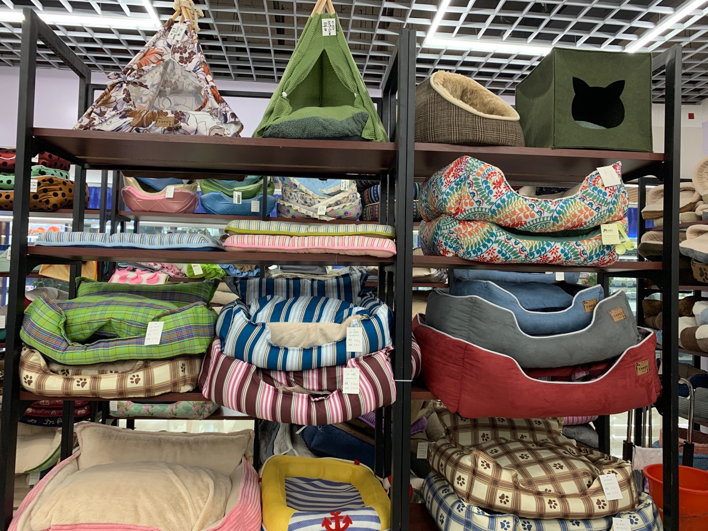 Pet Commune describe pic - 3