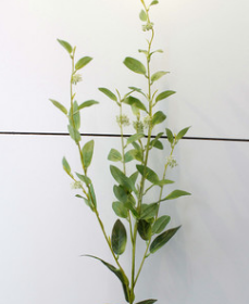 5-head Holly fruit with leaves High-end illustration material simulation flower JX001 5-head Holly fruit leaves Specification image