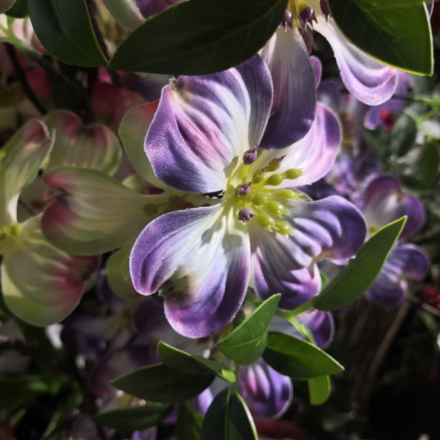 Yiwu quality goods: Flower arrangement, wedding photo studio props, flower arrangements, artificial flowers, living room and bedroom artificial flowers Specification image