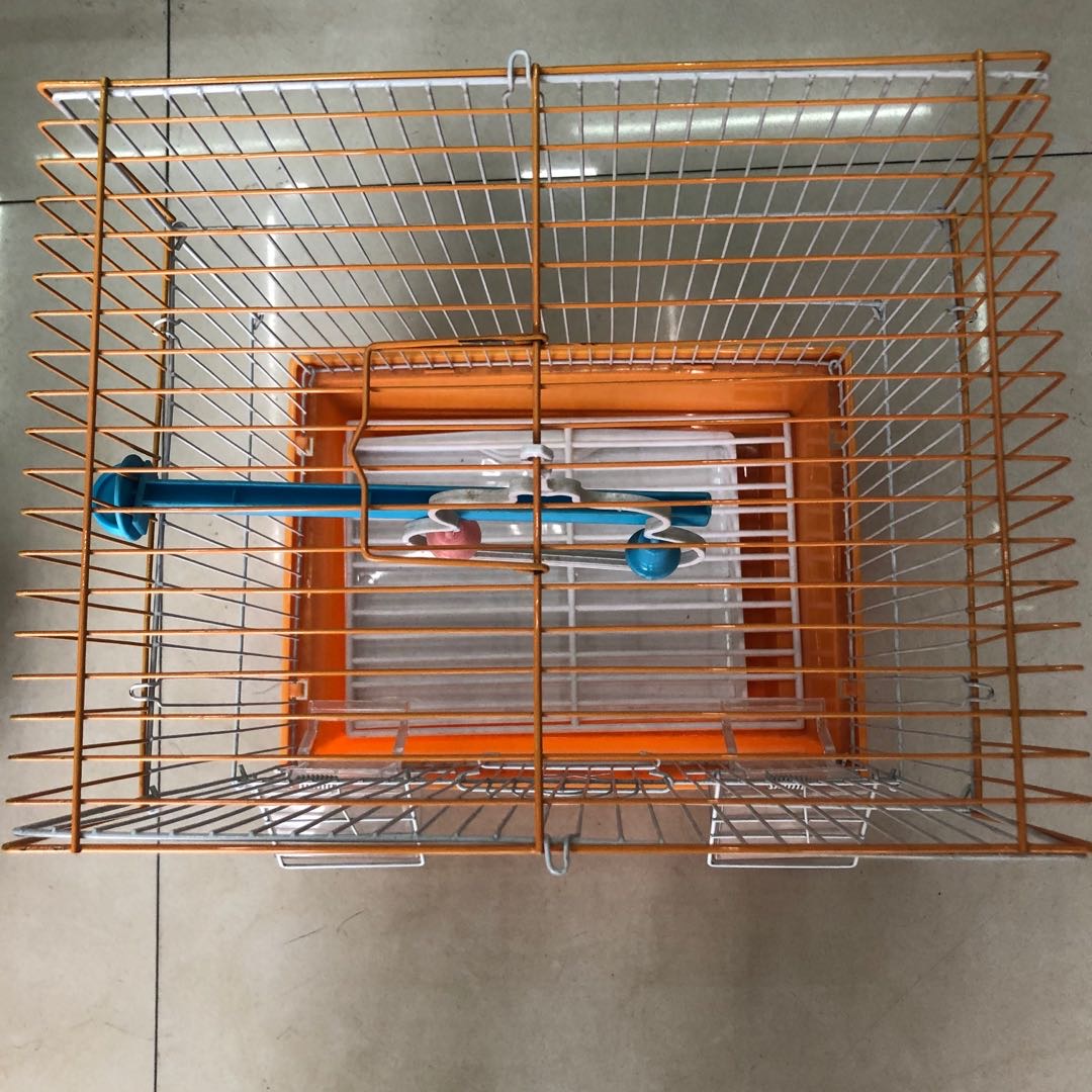 新款鸟笼金属鸟笼动物笼子可挂式鸟笼详情图3