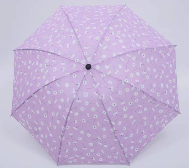 小清新晴雨伞两用折叠礼品伞产品图