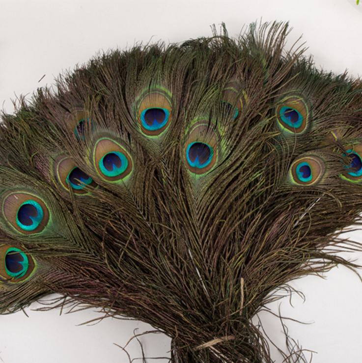 25-30中眼孔雀毛工艺品羽毛饰品头带装饰DIY手工孔雀羽毛