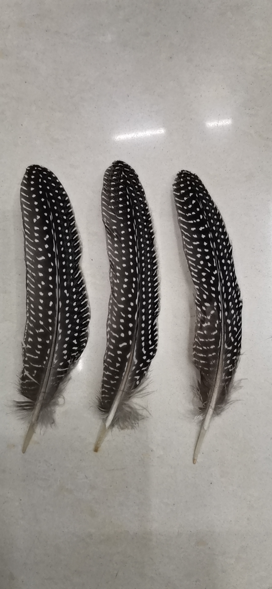 珍珠呙玲服装辅料配饰配件细节图