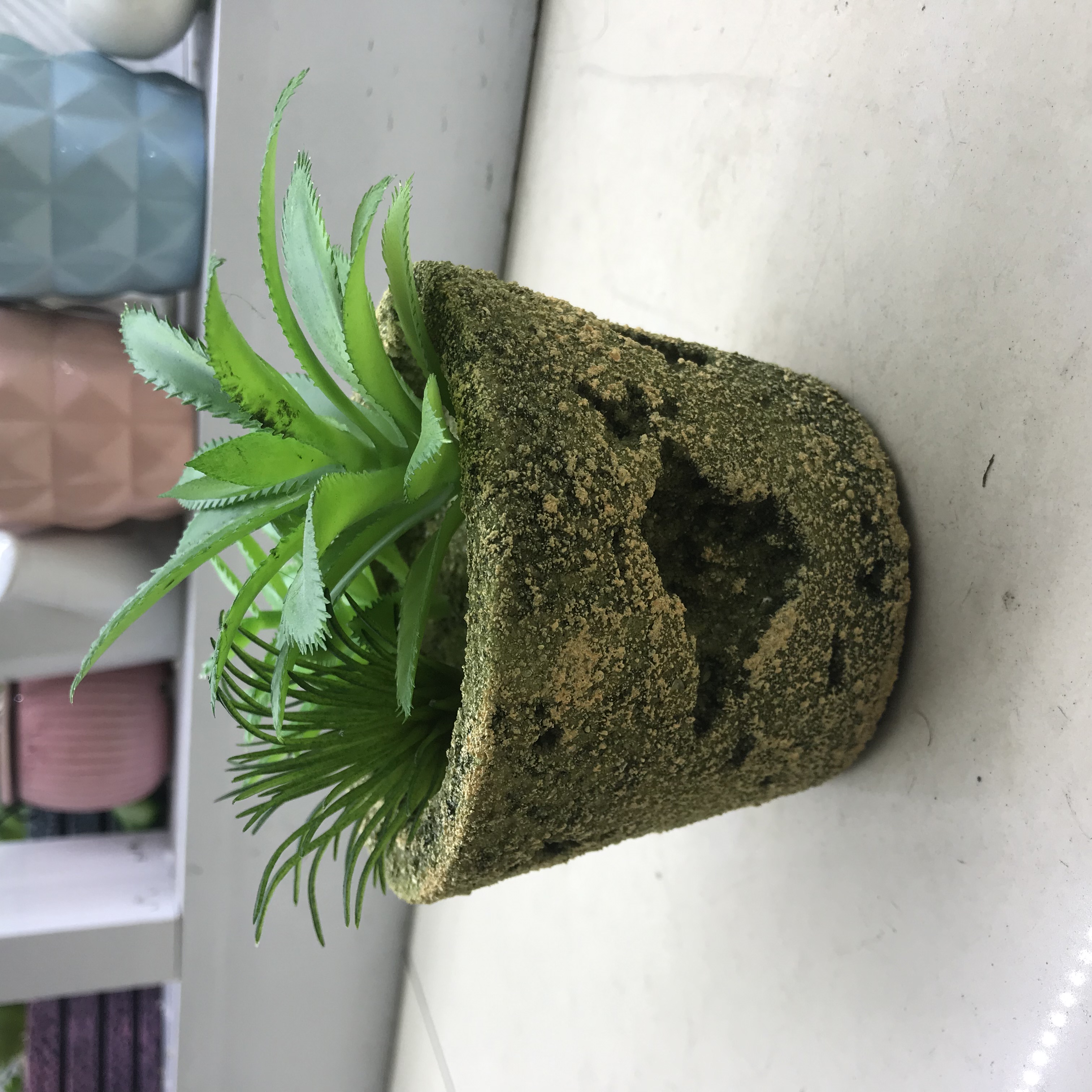 Simulated succulent combination plant potted ins web celebrity fake green plant decoration furnishes indoor partition cabinet knick-knacks thumbnail