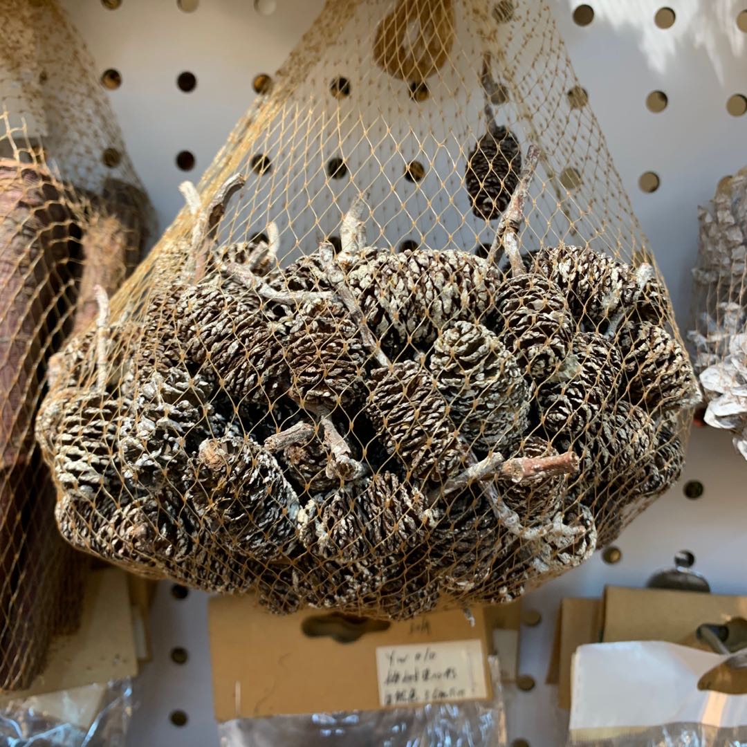 diy pinecone handicraft materials