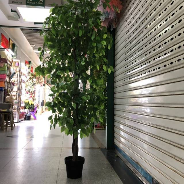 Elm tree simulation plant potted wedding supplies photo props Nordic style green home furnishings thumbnail