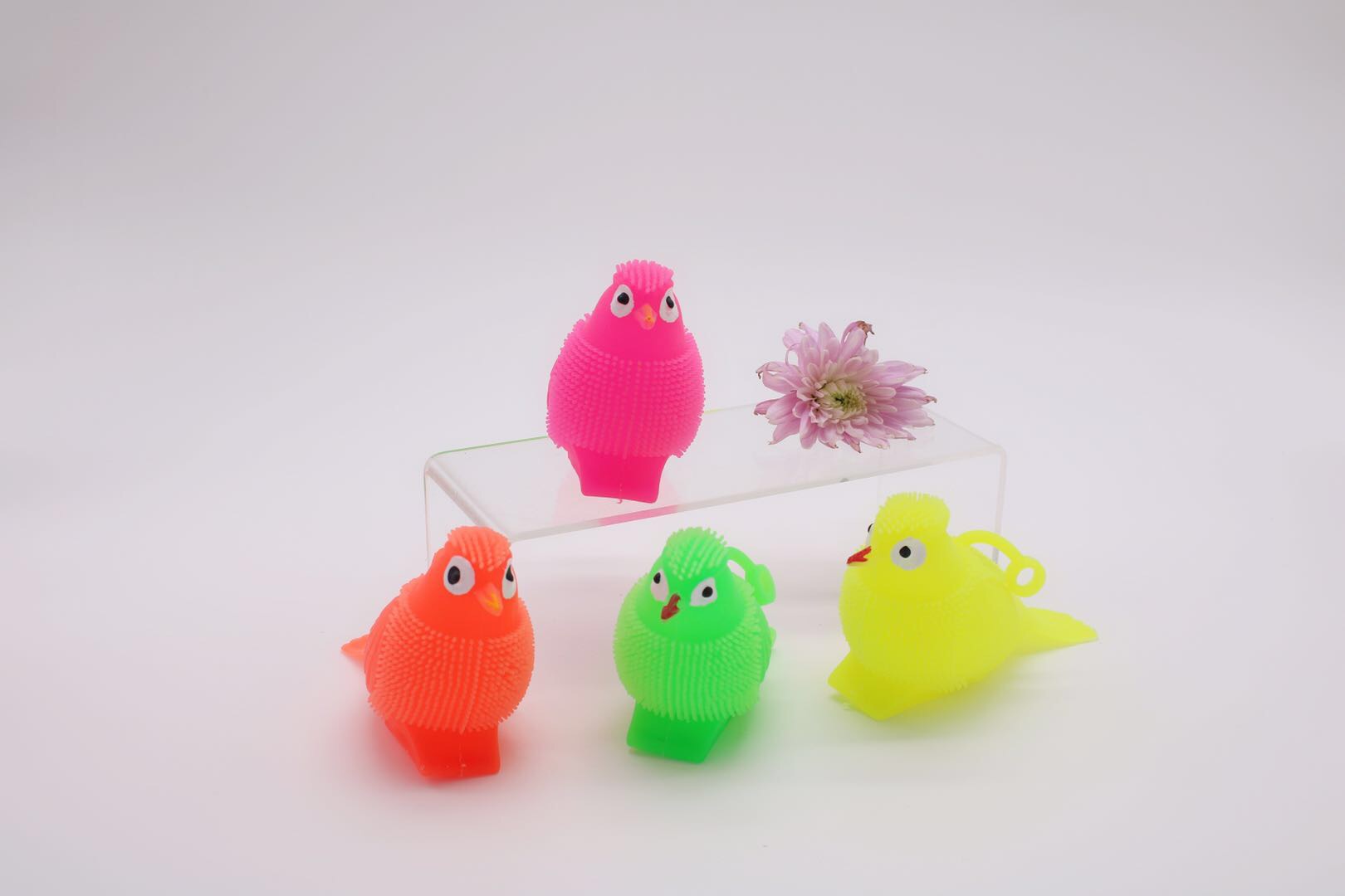 Blow off a bouncy ball pinch a glitter bird ball
