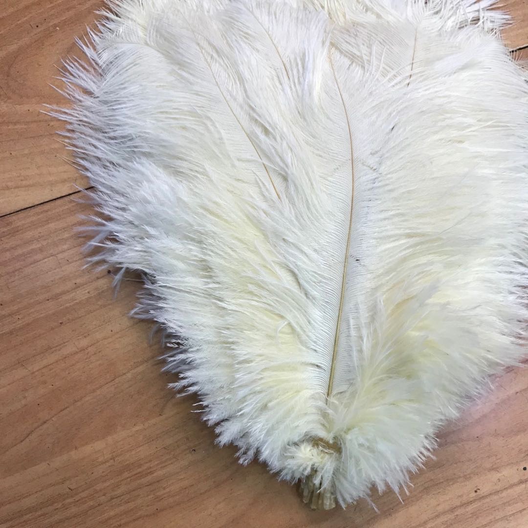鸵鸟毛摆件网店拍照道具背景天然羽毛唯美美甲拍摄道具孔雀毛摄影20-25细节图