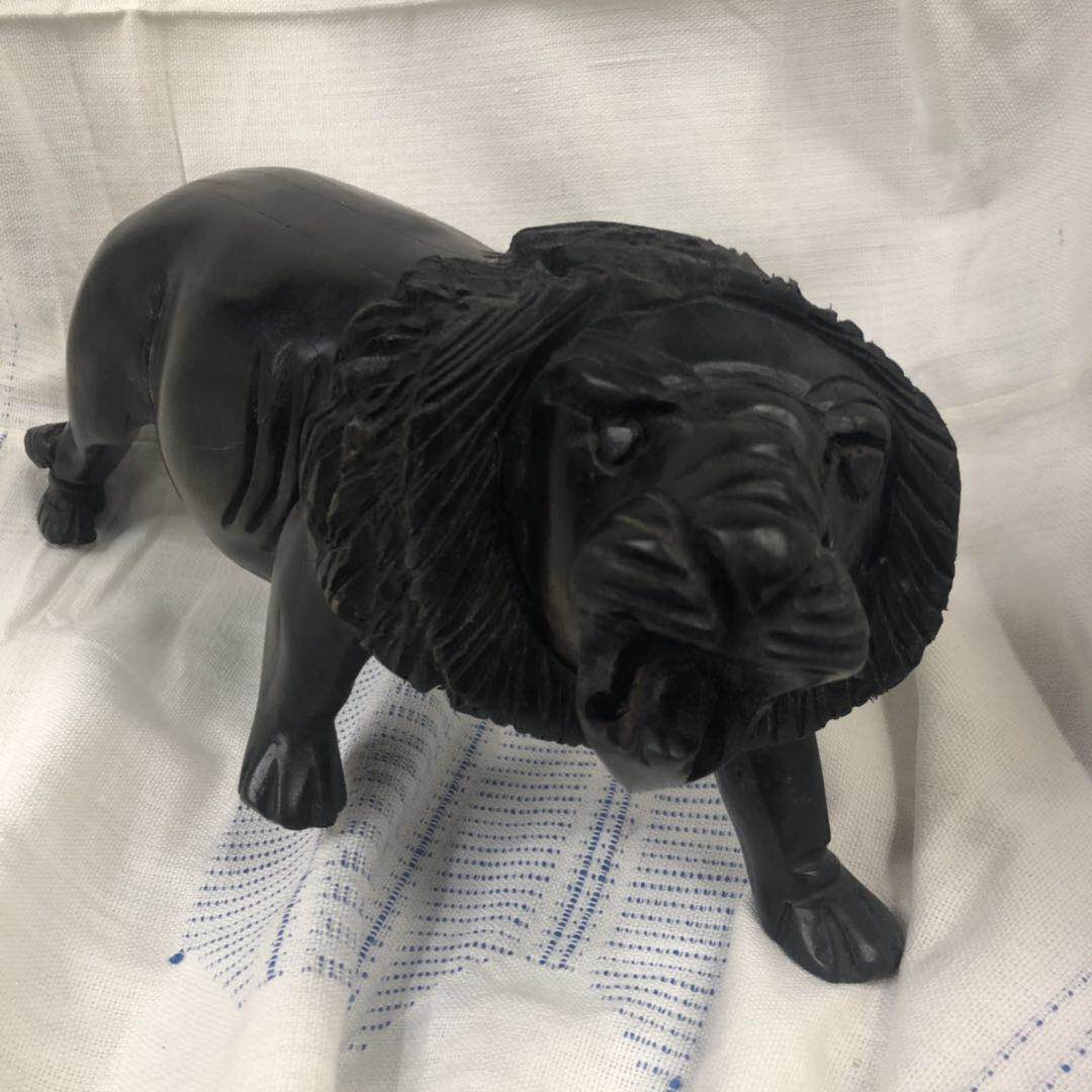 非洲五大兽狮子