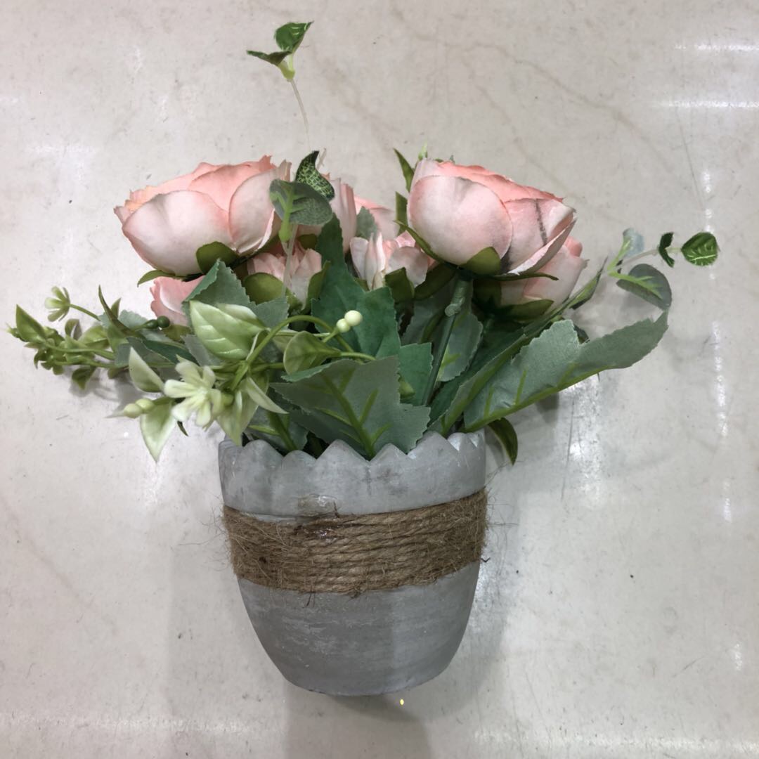 Simulated British Austin rose seedlings, Anick Castle balcony courtyard garden potted rose with large flowers and strong fragrance details Picture