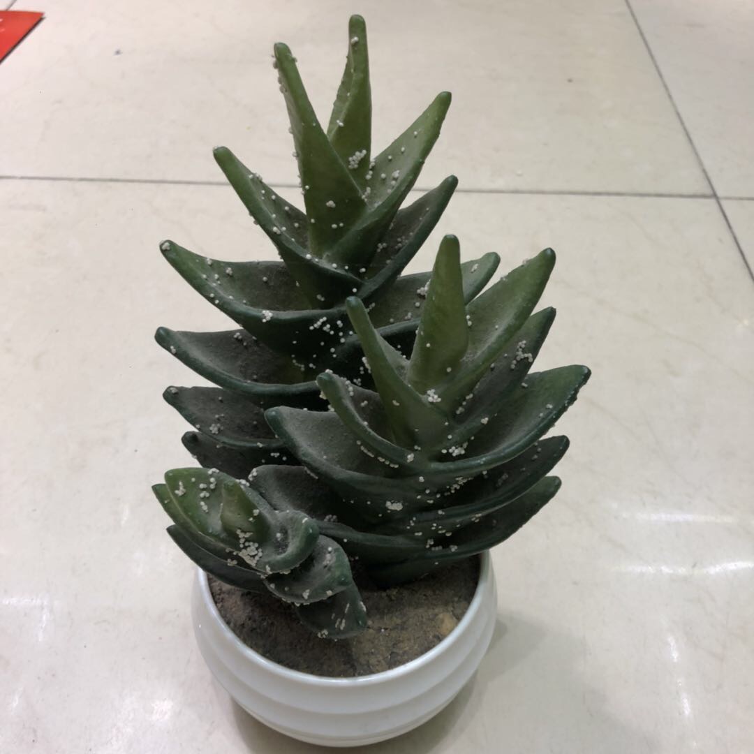 Artificial plant bonsai, potted cacti, green plants, succulents, artificial trees, plants with POTS, decorative gifts, ornaments, artificial flowers