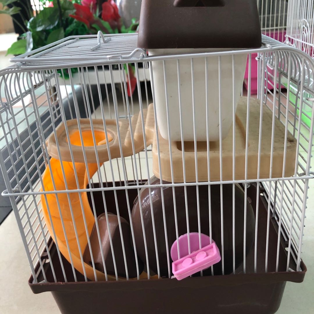 金属老鼠笼宠物笼不锈钢电笼宠物窝产品图