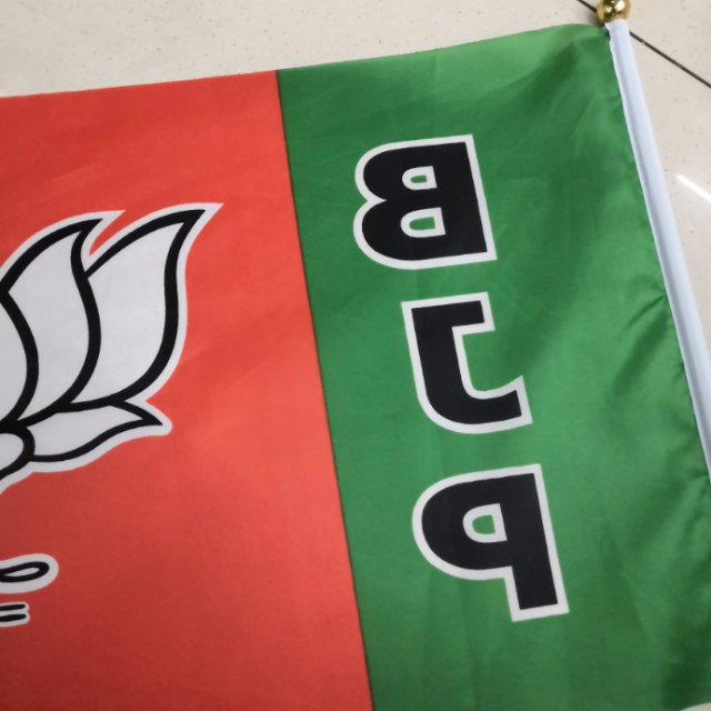 国旗/国旗/国旗细节图