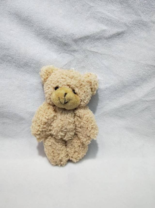 舒棉绒小熊 用作服装配饰包包配饰等