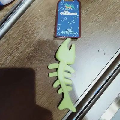 Pet Universal Green Fish Bone Toy