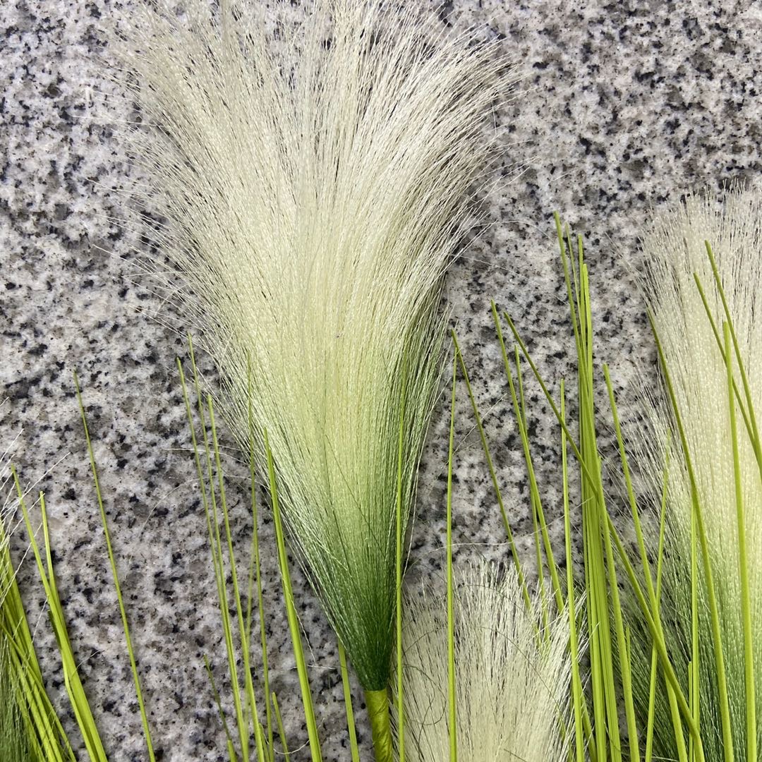 仿真芦苇盆栽客厅简约狗尾巴草花絮落地绿植圣诞拍照装饰产品图