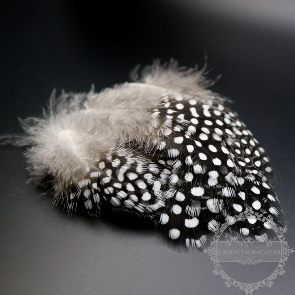 Handmade feather wild bird feather decorative feather box feather