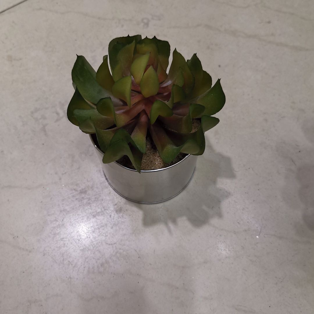 Plastic iron bucket succulent simulation pastoral fresh and clean home decoration Specification image
