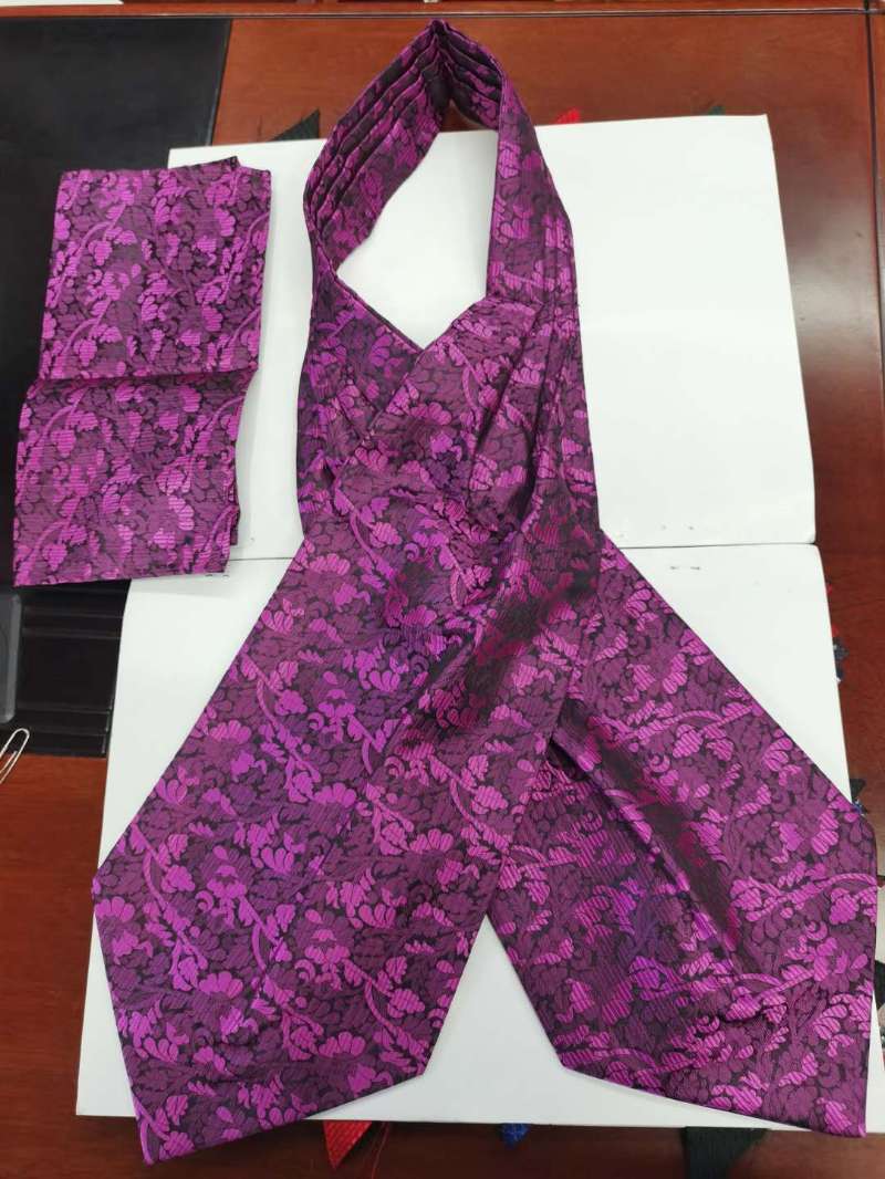 Promoting new trendy polyester ties for men's formal wear details Picture